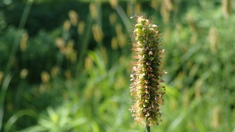 e0024081_15511783.jpg