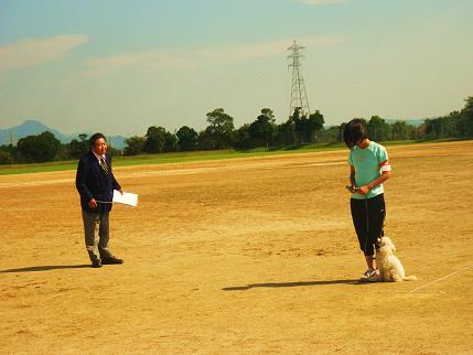 1013静岡県訓練王座競技大会_e0100584_23135656.jpg