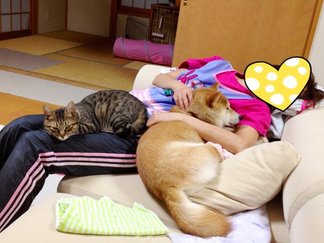 頑張ってるよ②_a0126590_6552418.jpg