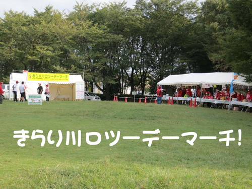 斑入り フェイジョア 黄金葉_b0200291_20512978.jpg