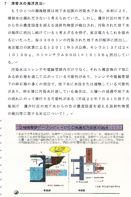 汚染水海洋放出事件の上申書を提出_e0068696_19285926.png