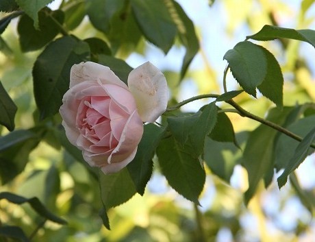 a0123003_995841.jpg