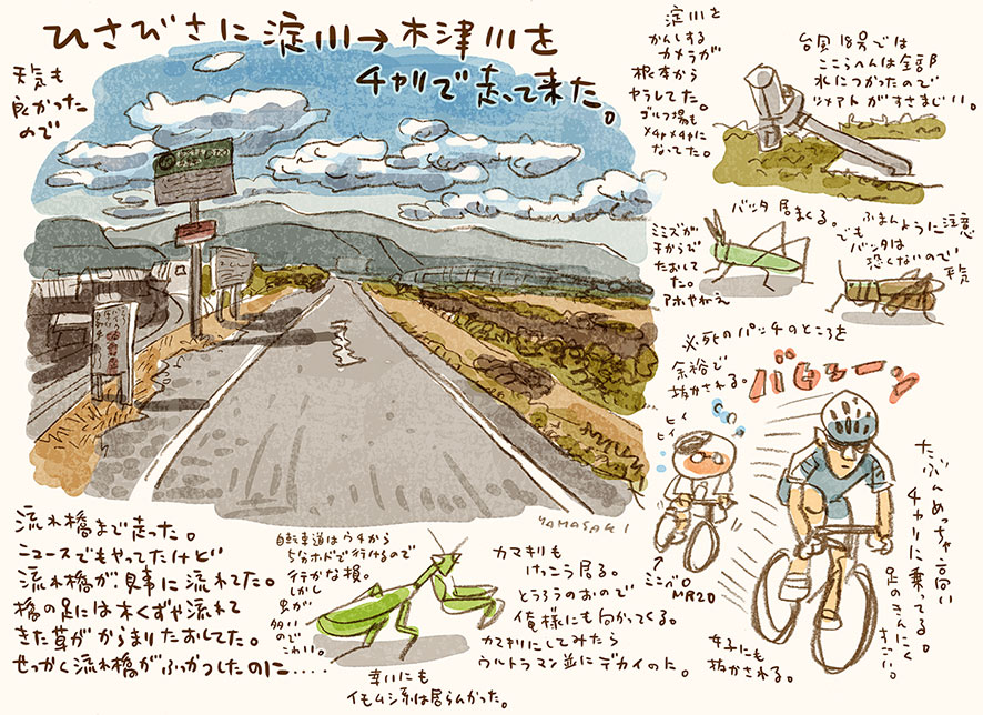 自転車の季節_e0022403_20333453.jpg