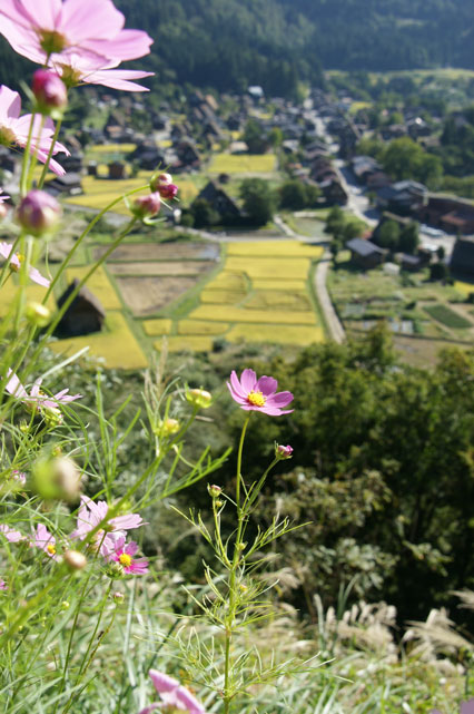 f0036603_2146220.jpg