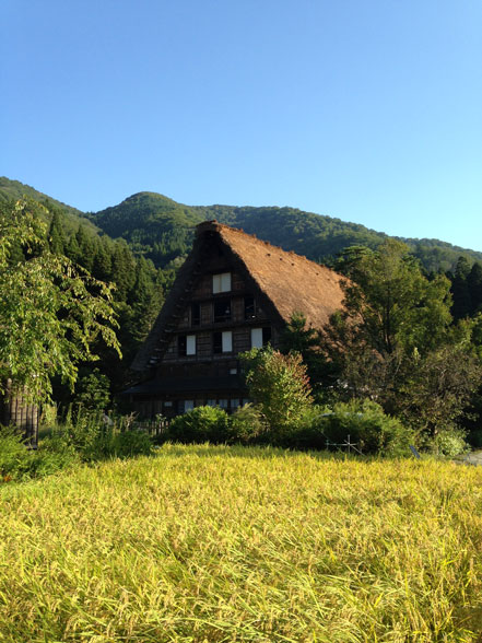 f0036603_21483883.jpg