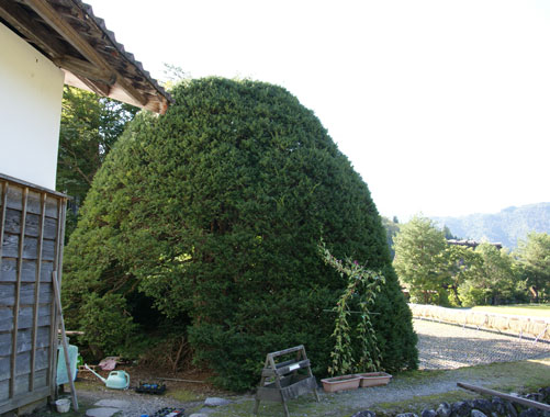 f0036603_21523843.jpg