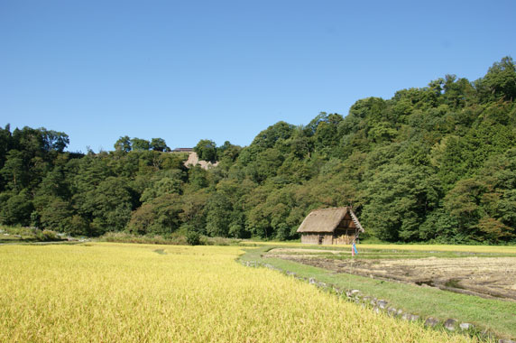 f0036603_2152514.jpg