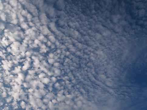 a0240108_922428.jpg