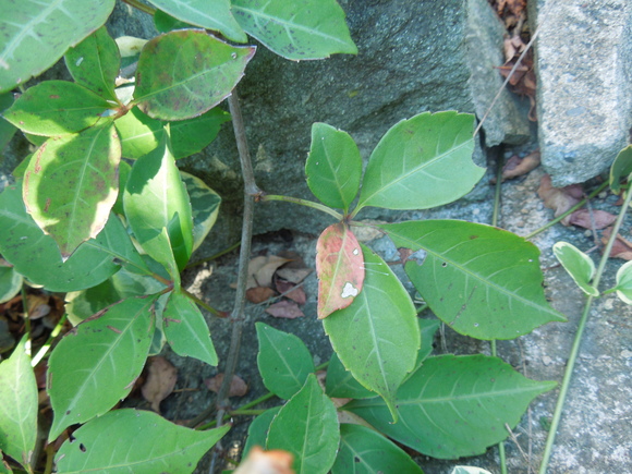 f0297809_23261937.jpg