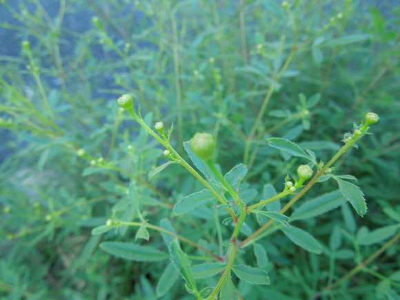 f0297809_23274517.jpg