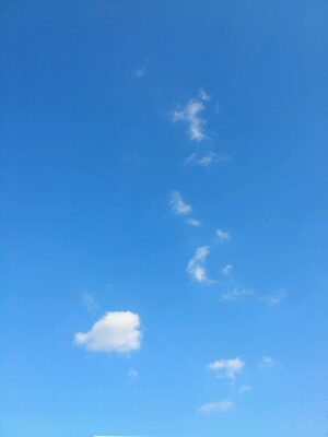 e0058913_1558662.jpg