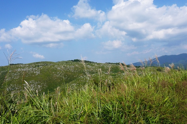 d0025414_014547.jpg