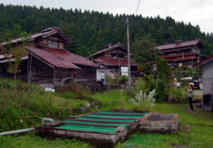 c0168815_410471.jpg