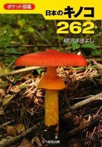 森のなかのキノコ展終了しました_d0263815_22131158.jpg