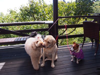 見晴し台へ_e0192217_9541817.jpg