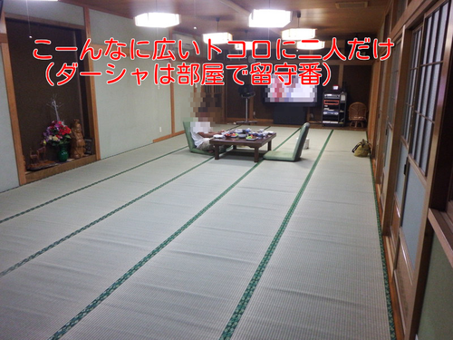 a0232619_18124756.png