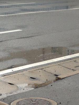 久方ぶりの雨、、_a0110720_13372150.jpg