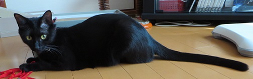 c0280322_1731247.jpg