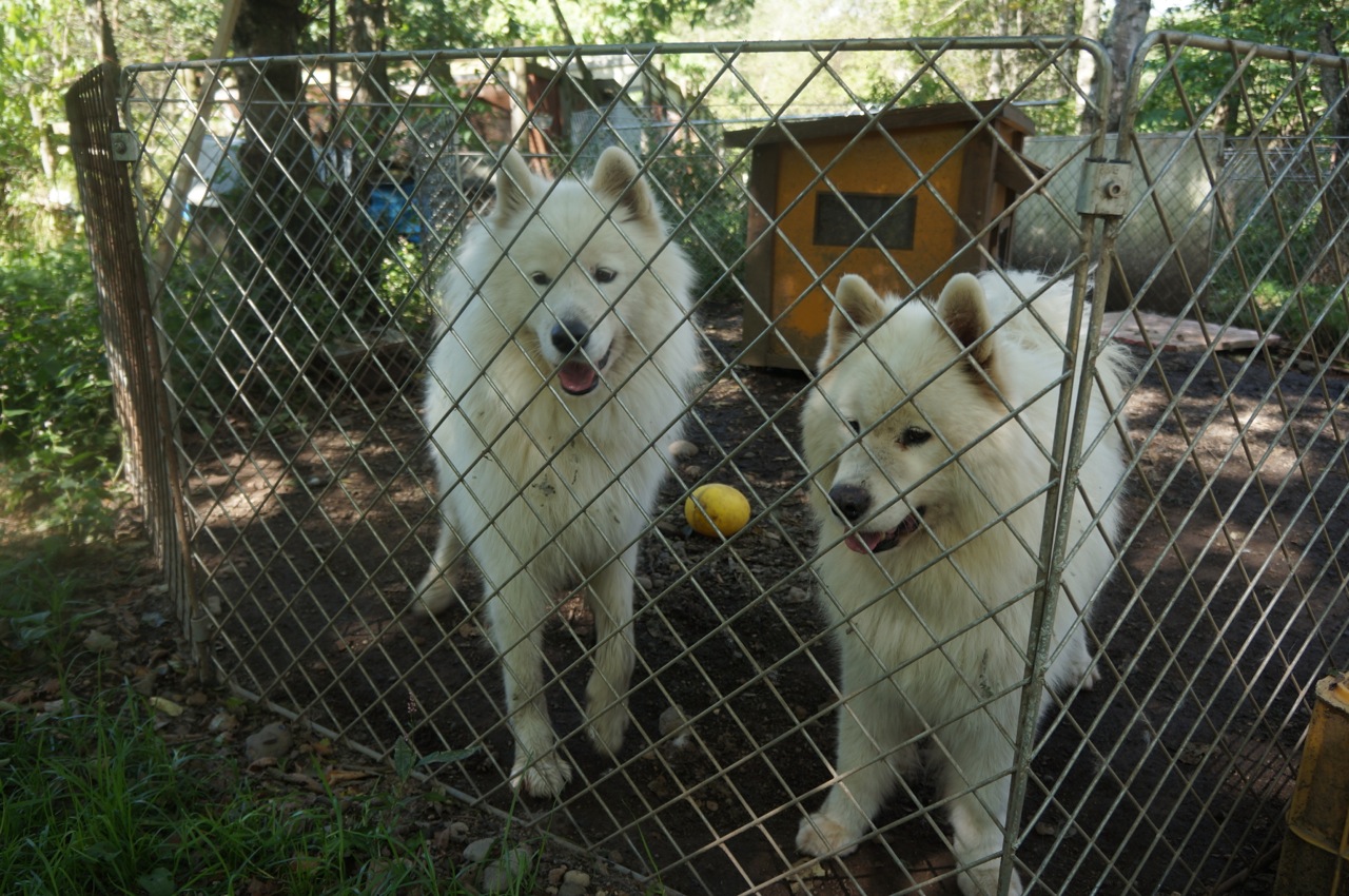 2013年　北海道旅行記_9月18日その一_f0234023_23105421.jpg