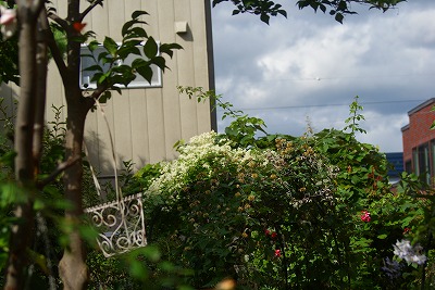 f0170524_21595339.jpg