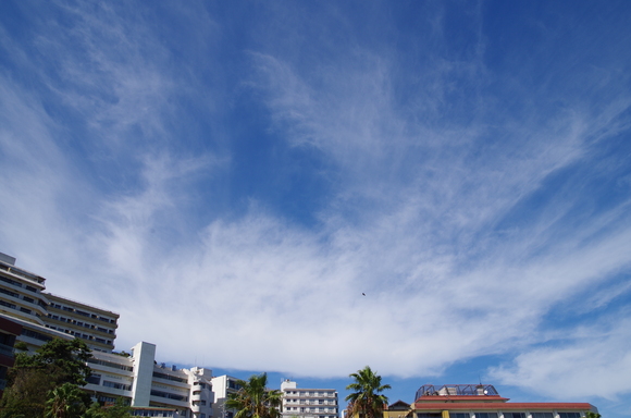 f0250929_20481221.jpg