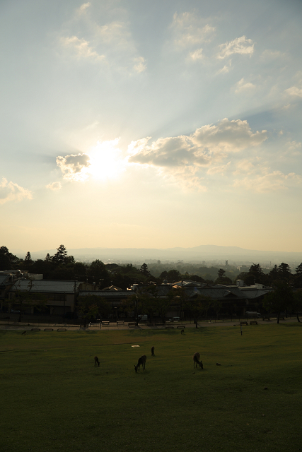 いにしえの奈良へ －若草山夕景－_b0169330_17591319.jpg