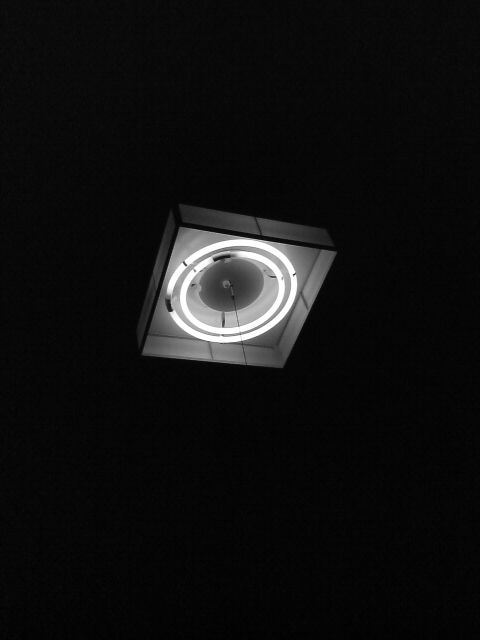 b0134233_12935.jpg