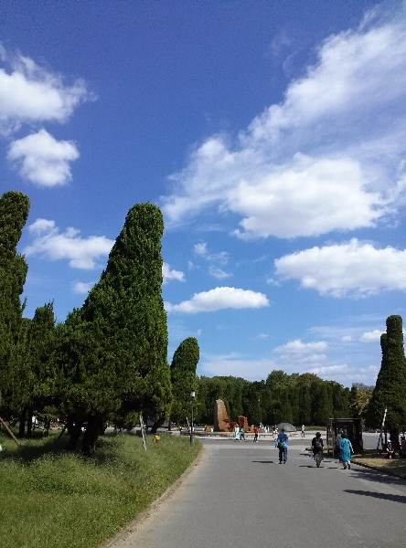 休日出勤と公園と ②_c0113733_052141.jpg
