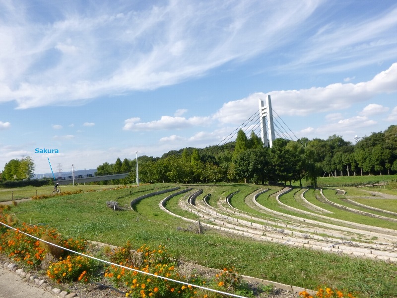 休日出勤と公園と ②_c0113733_0534861.jpg