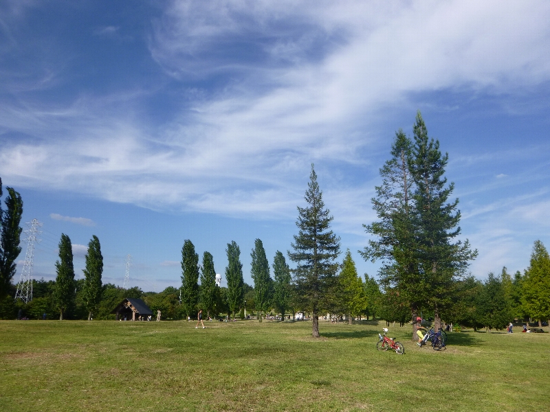 休日出勤と公園と ②_c0113733_0544866.jpg