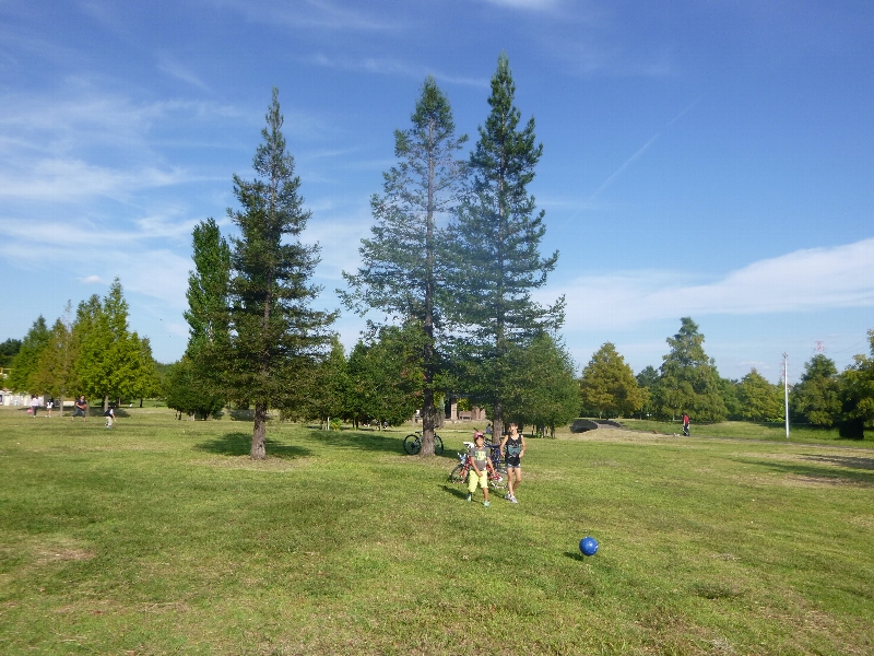 休日出勤と公園と ②_c0113733_14978.jpg