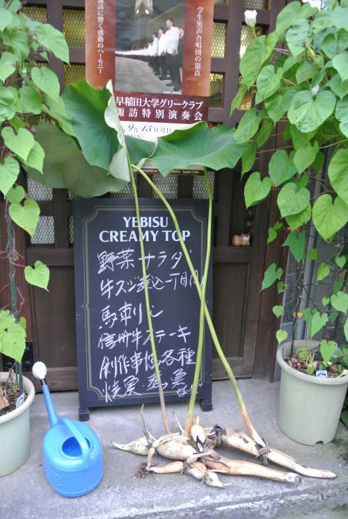 【上諏訪居酒屋めぐり その1 -串焼 一丁目- (長野・上諏訪)】_a0005436_13562859.jpg