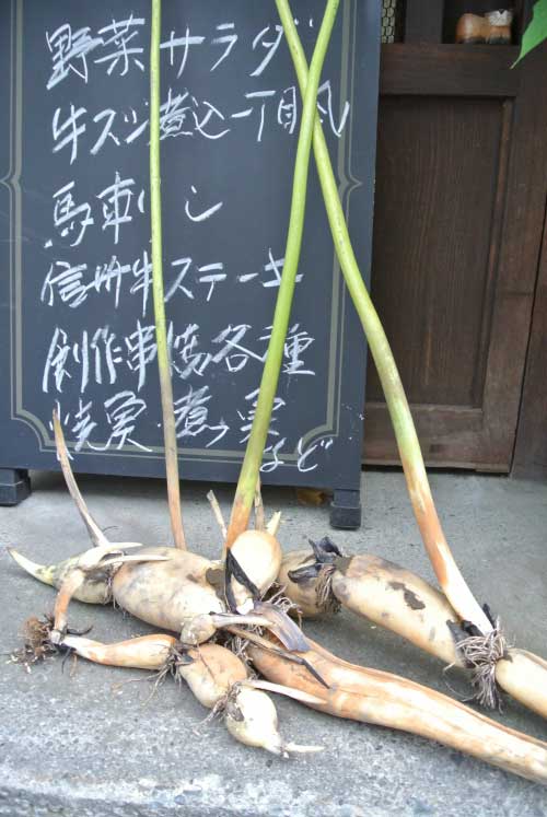 【上諏訪居酒屋めぐり その1 -串焼 一丁目- (長野・上諏訪)】_a0005436_13563613.jpg