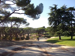 e0120938_5461619.jpg