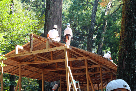 c0068639_15313668.gif