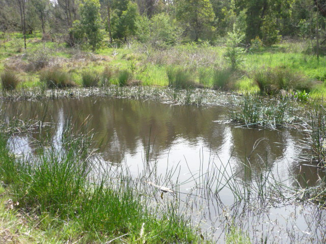 a0118447_2072427.jpg