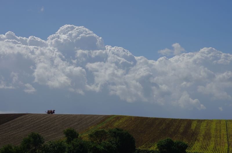 美瑛の空と風_b0133447_21132173.jpg