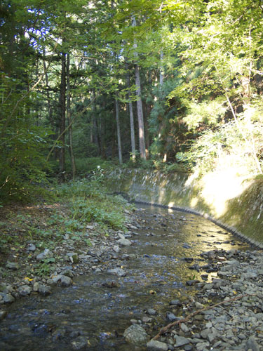 e0201348_2056306.jpg