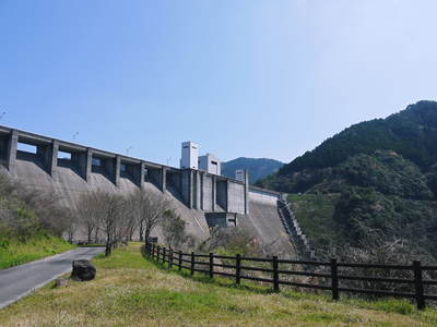 熊本セロリ「清正人参」 ハウスへの定植と有機栽培!匠の手間ひま その2_a0254656_18362765.jpg