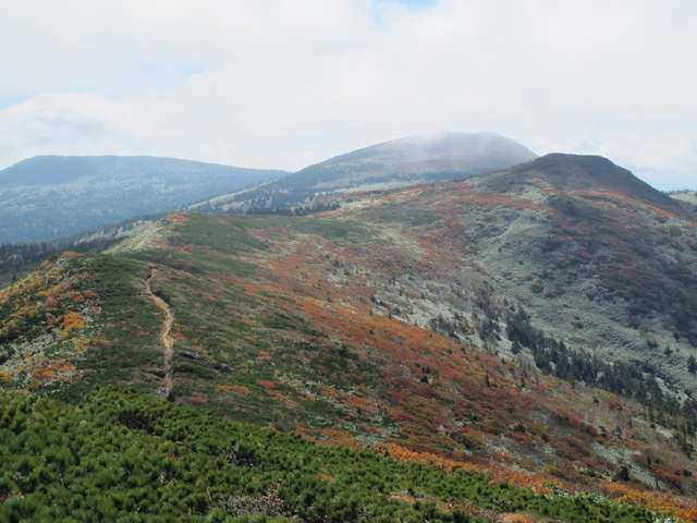 2013年9月28日(1)　源太ヶ岳・大深岳・三ツ石山_c0116856_21401912.jpg