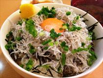 日間賀島を走ってみた_e0044657_23193100.jpg