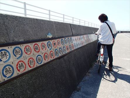 日間賀島を走ってみた_e0044657_2391793.jpg