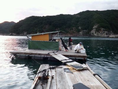 三重県奈屋浦筏、吉田、牧野両氏の紀州釣り_a0059365_10475757.jpg