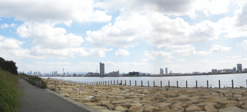 c0095679_2046258.gif