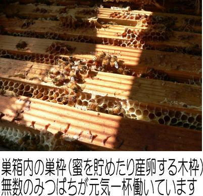 f0185981_10364873.jpg