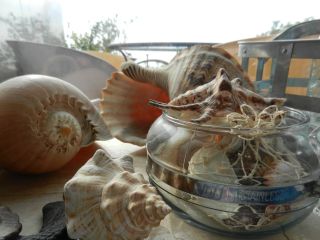 2013年9月29日 しばし。。。_b0098584_17425220.jpg