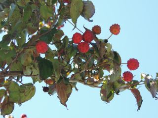 2013年9月29日 しばし。。。_b0098584_17433469.jpg