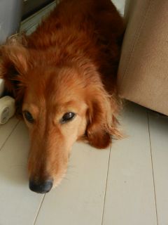 2013年9月29日 しばし。。。_b0098584_17442043.jpg