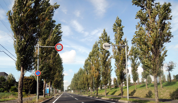 b0169987_19272314.jpg