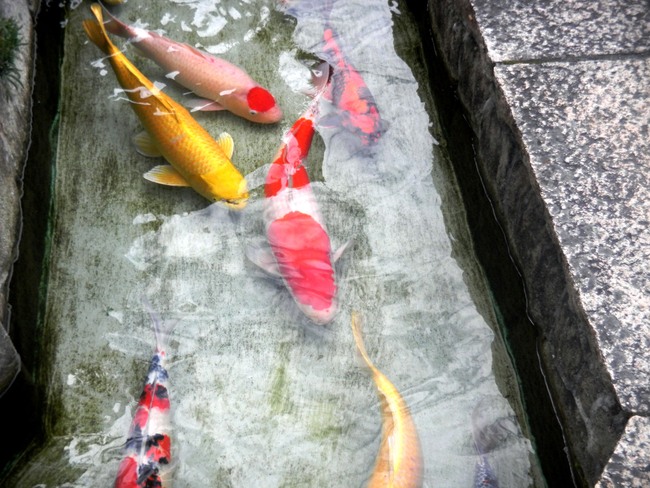 c0193187_20583840.jpg